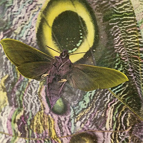 Mothmen/Pay Attention@Pay Attention