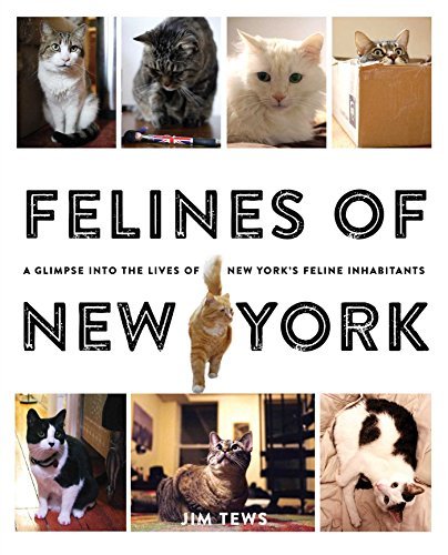 Jim Tews/Felines of New York@ A Glimpse Into the Lives of New York's Feline Inh