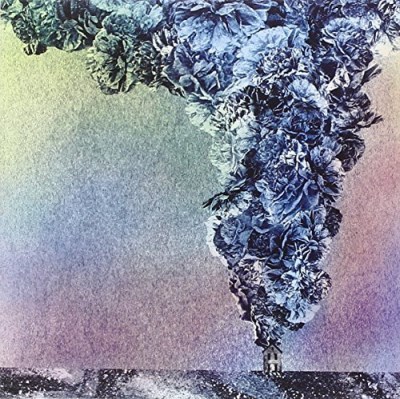 Daughn Gibson/Carnation