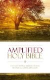Zondervan Amplified Bible Am Captures The Full Meaning Behind The Original Gre 
