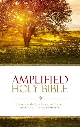 Zondervan Amplified Bible Am Captures The Full Meaning Behind The Original Gre 