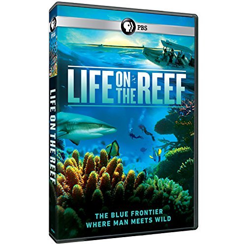 Life On The Reef/PBS@Pbs