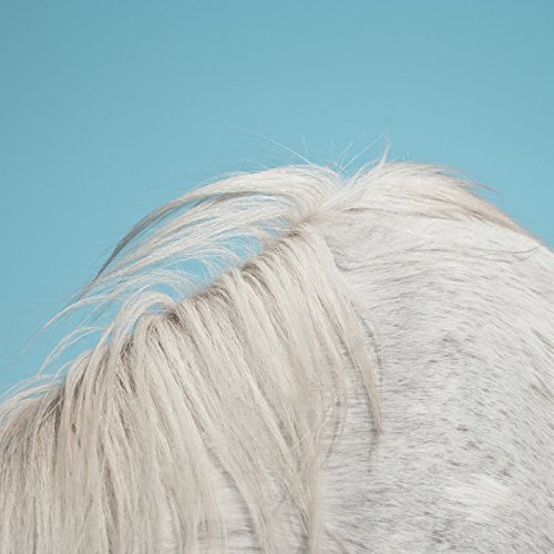 Widowspeak/All Yours@All Yours