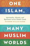 Raymond William Baker One Islam Many Muslim Worlds Spirituality Identity And Resistance Across Isl 