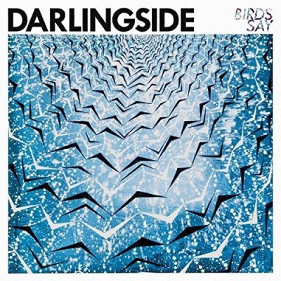 Darlingside/Birds Say
