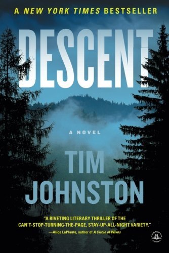 Tim Johnston/Descent