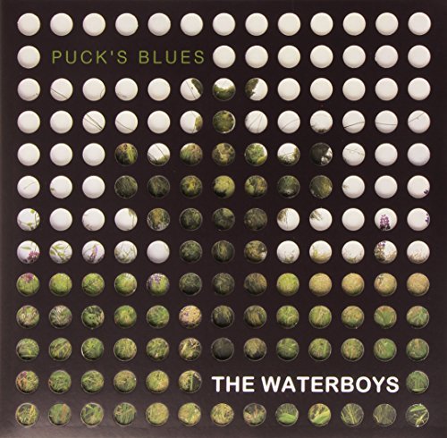 The Waterboys/Puck's Blues@Puck's Blues