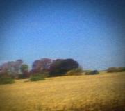 Sun Kil Moon/Benji (Red vinyl)@Red Vinyl 2-Lp Gatefold