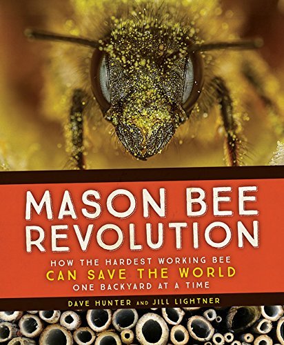 Dave Hunter Mason Bee Revolution How The Hardest Working Bee Can Save The World 