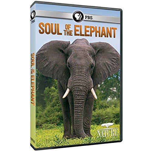 Nature: Soul Of The Elephant/Nature: Soul Of The Elephant