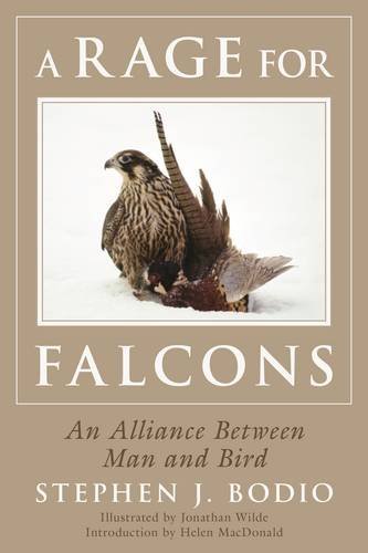 Stephen Bodio/A Rage for Falcons@An Alliance Between Man and Bird