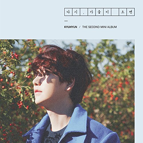 Kyu-Hyun/Kyu-Hyun@Import-Kor
