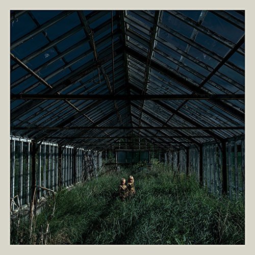 Foxing/Dealer