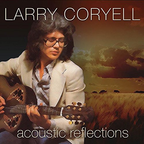 Larry Coryell/Acoustic Reflections