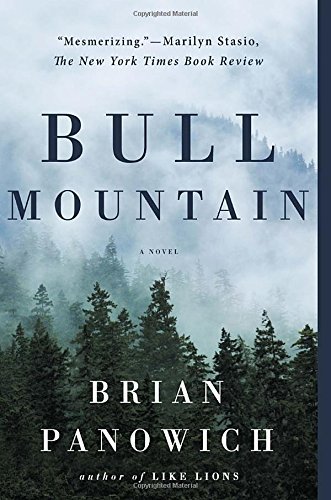 Brian Panowich/Bull Mountain