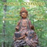 Tara Brach Radical Acceptance Guided Meditations 2 CD 