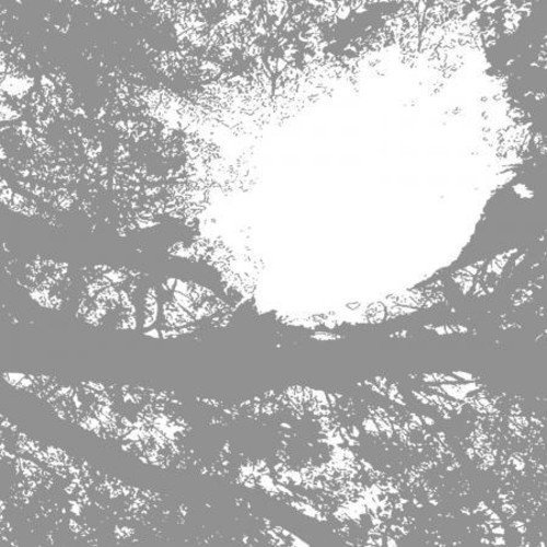 Comets On Fire/Field Recordings From The Sun@Lp