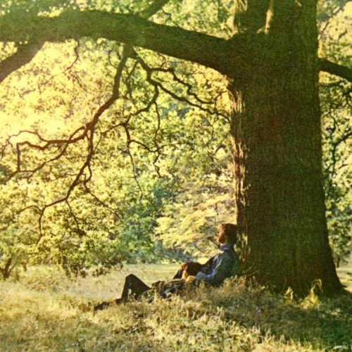 Yoko Ono Plastic Ono Band Yoko Ono & Plastic Ono Band 