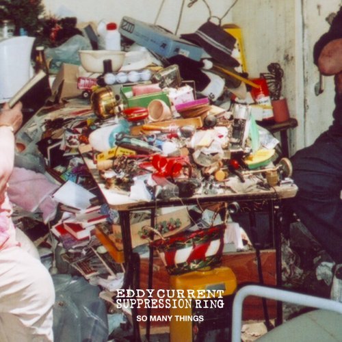 EDDY CURRENT SUPPRESSION RING/SO MANY THINGS
