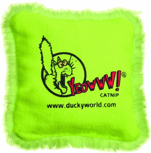 Catnip Pillow, Green,