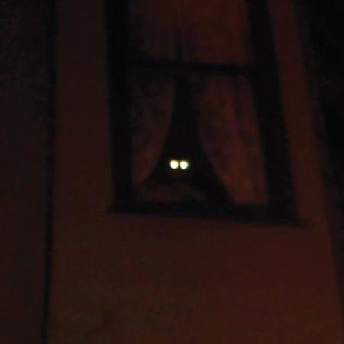 Thee Oh Sees/Fortress