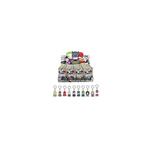 KIDROBOT/DC UNIVERSE KEYCHAIN SERIES