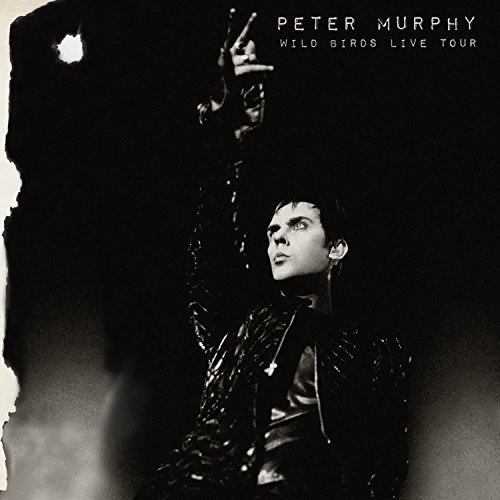 Peter Murphy/Wild Birds Live Tour