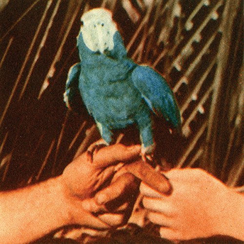 Andrew Bird/Are You Serious (Lp)