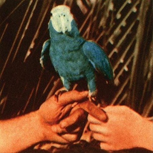 Andrew Bird/Are You Serious@Deluxe Edition