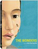 Wonders Wonders 