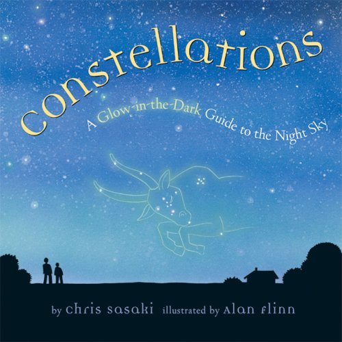 Chris Sasaki Constellations A Glow In The Dark Guide To The Night Sky 