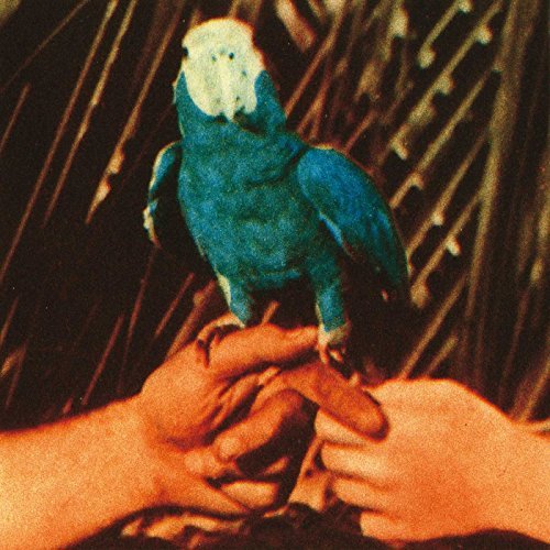 Andrew Bird/Are You Serious