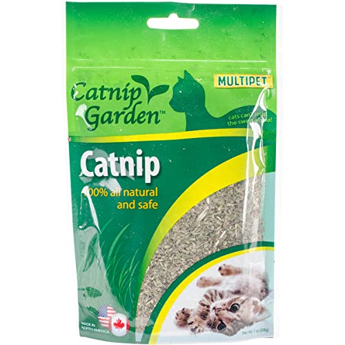 American Catnip 1oz Bag-Catnip Garden