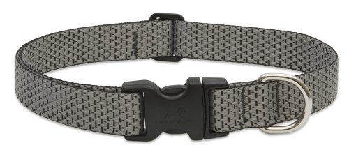 Lupine Eco Dog Collar - Granite