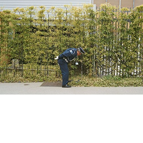Gold Panda/Good Luck & Do Your Best