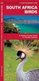 James Kavanagh South Africa Birds 
