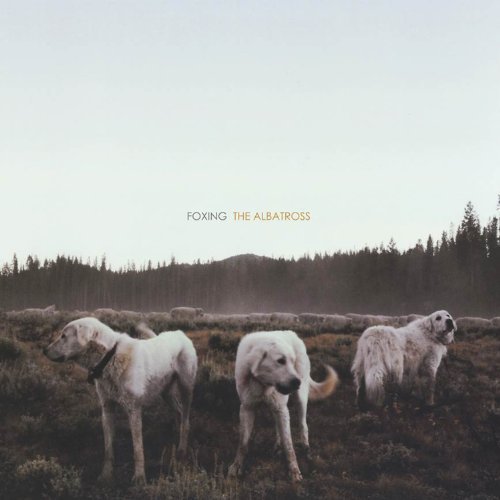 Foxing/Albatross