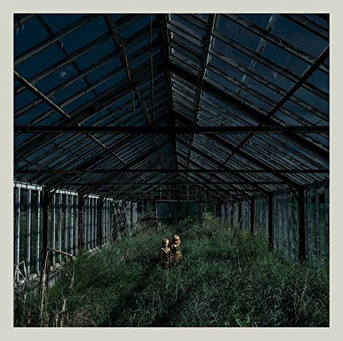 Foxing/Dealer