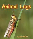 Mary Holland Animal Legs 