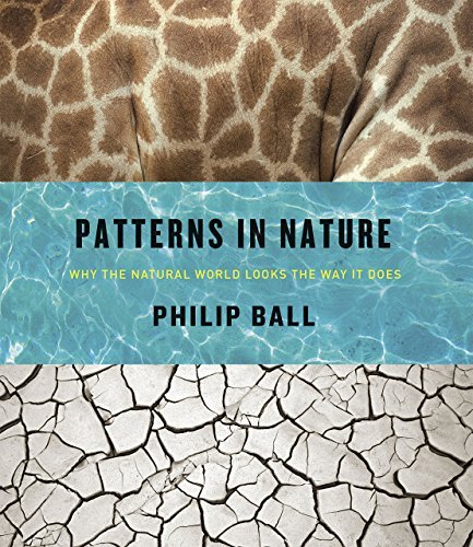 Philip Ball Patterns In Nature Why The Natural World Looks The Way It Does 