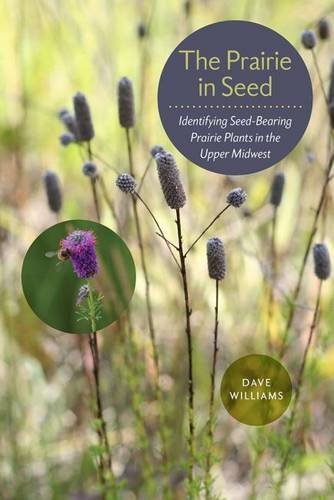 Dave Williams The Prairie In Seed Identifying Seed Bearing Prairie Plants In The Up 