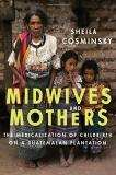 Sheila Cosminsky Midwives And Mothers The Medicalization Of Childbirth On A Guatemalan 