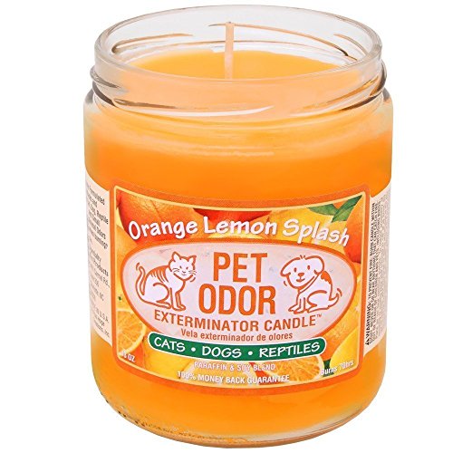 Pet Odor Exterminator Orange Lemon Splash Deodorizing Candle