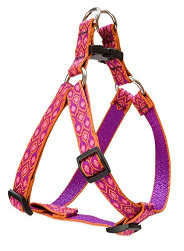 Lupine Harness - Alpen Glow-3/4" Wide