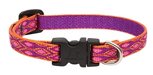 Lupine - Dog Collar