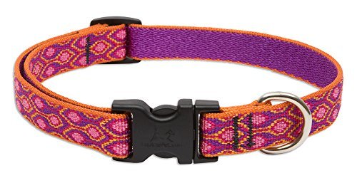 Lupine Dog Collar - Alpen Glow-3/4" Wide