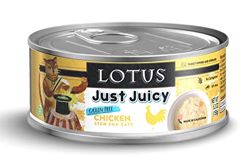 LOTUS CAT JJ CHK STEW 5.3OZ-