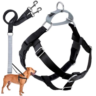 Freedom Harness & Leash, Black, sm