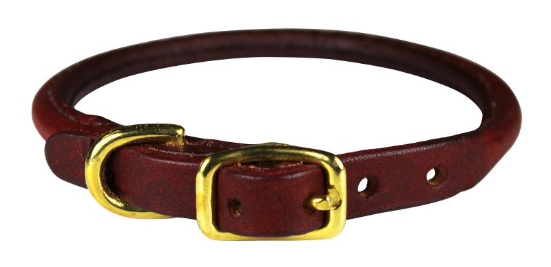 Messy Mutts Interactive Feeder Rectangular-Lg