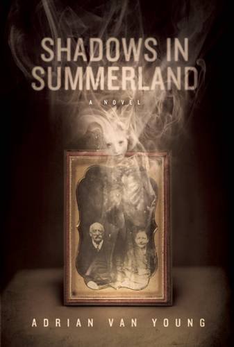 Adrian Van Young Shadows In Summerland 